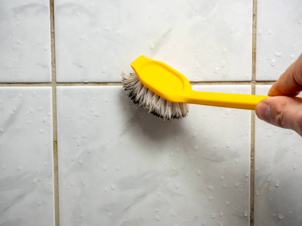 Best Mold Remediation  in Gerald, MO