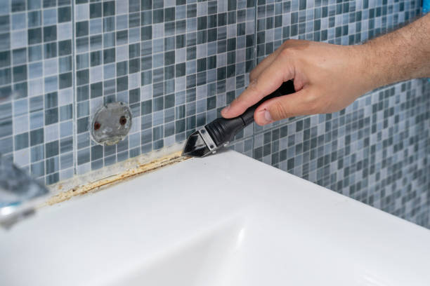 Best Emergency Mold Removal  in Gerald, MO