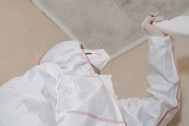 Best Local Mold Removal Service  in Gerald, MO